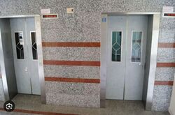 Blk 307 Hougang Avenue 5 (Hougang), HDB 3 Rooms #553436361